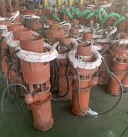 山東潛水(shui)泵