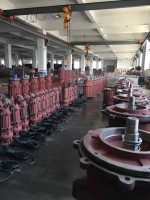 山東潛污(wū)泵