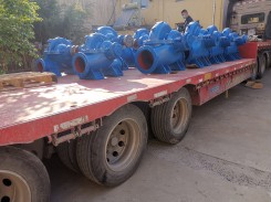 發(fa)貨現場(chǎng)