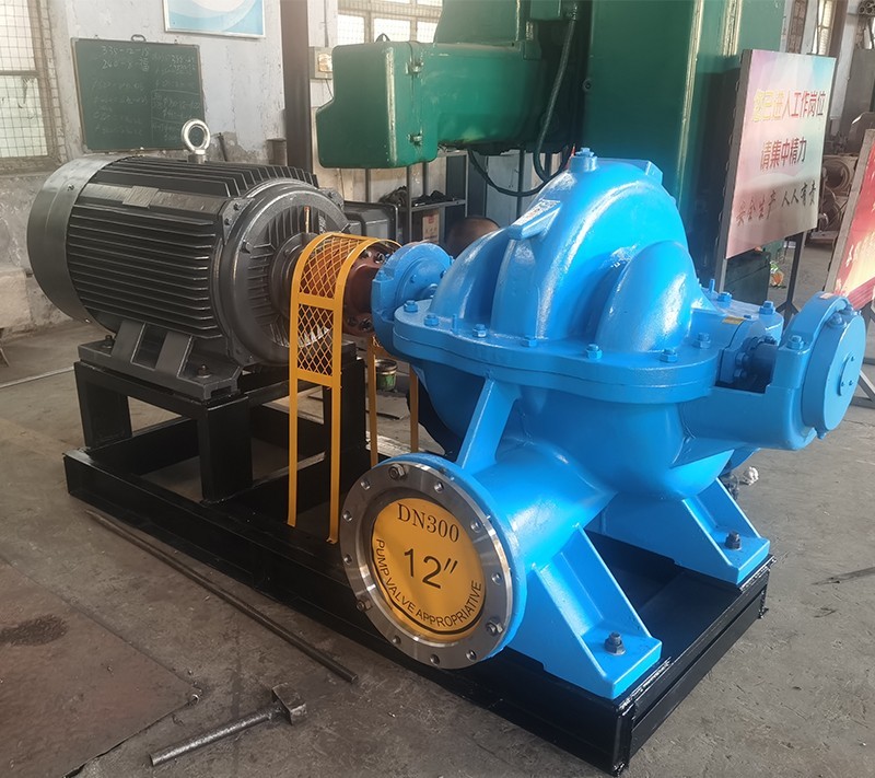 雙吸(xi)泵 雙吸泵(bèng)